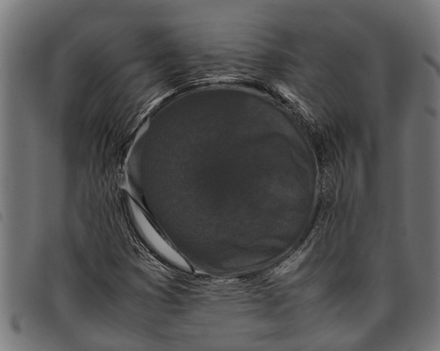 X0000097801353200803281026