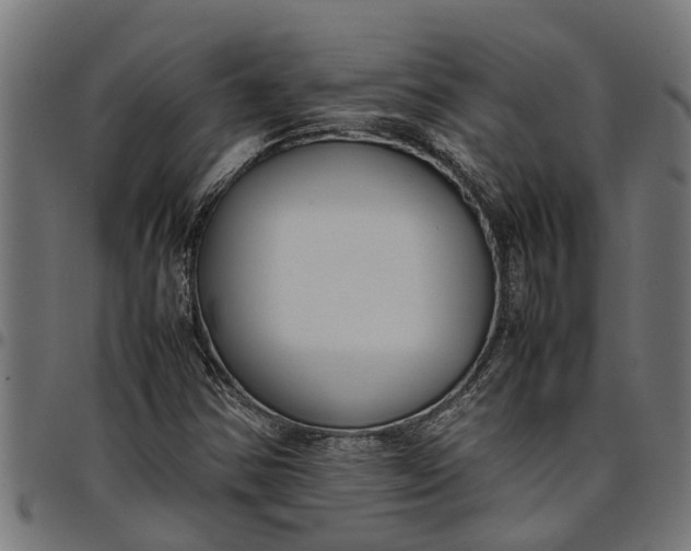 X0000097801354200803281026