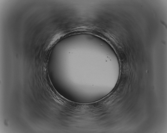 X0000097801355200803281026