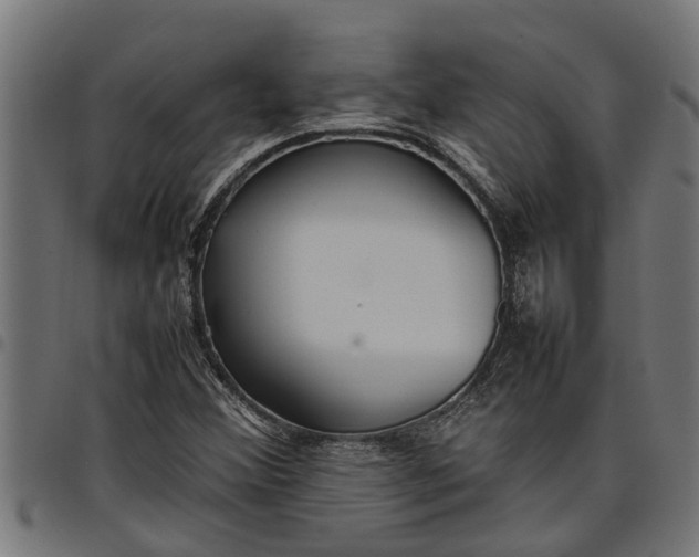 X0000097801356200803281026