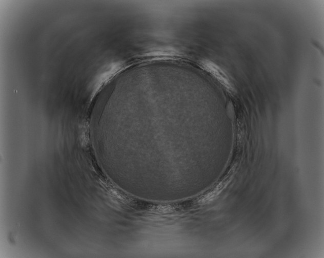 X0000097801357200803281026