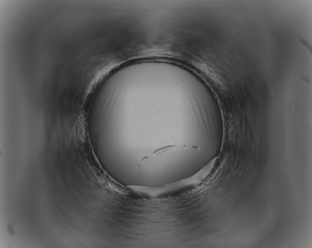 X0000097801358200803281025