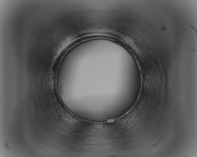 X0000097801360200803281025