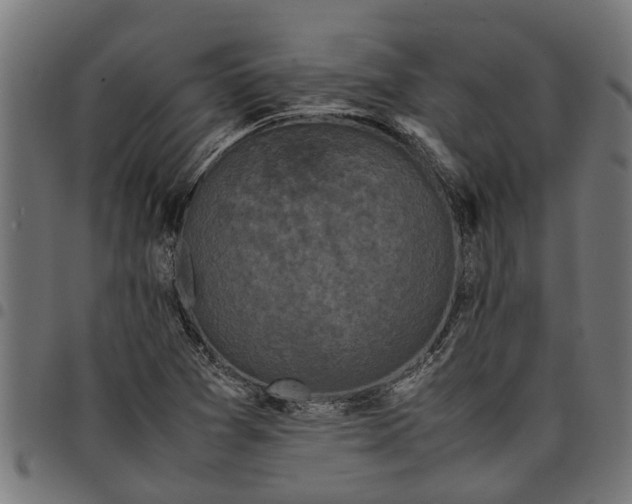 X0000097801361200803281025