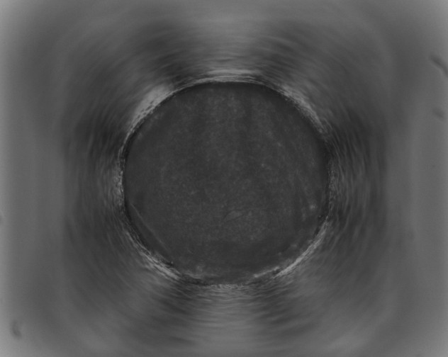 X0000097801362200803281025