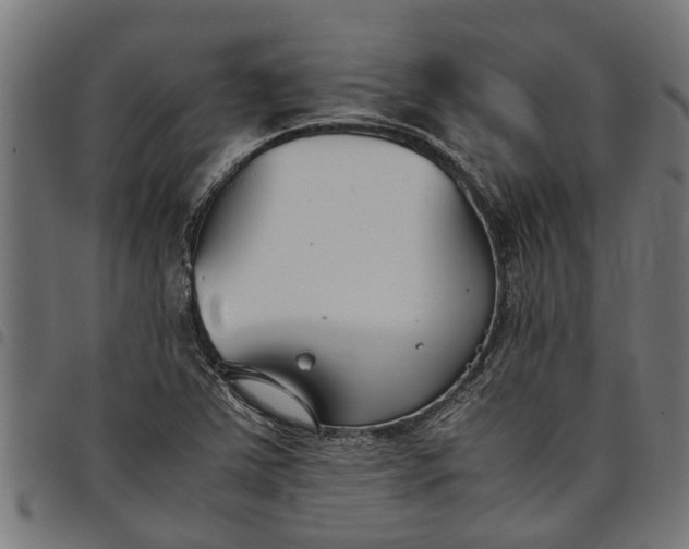 X0000097801363200803281025