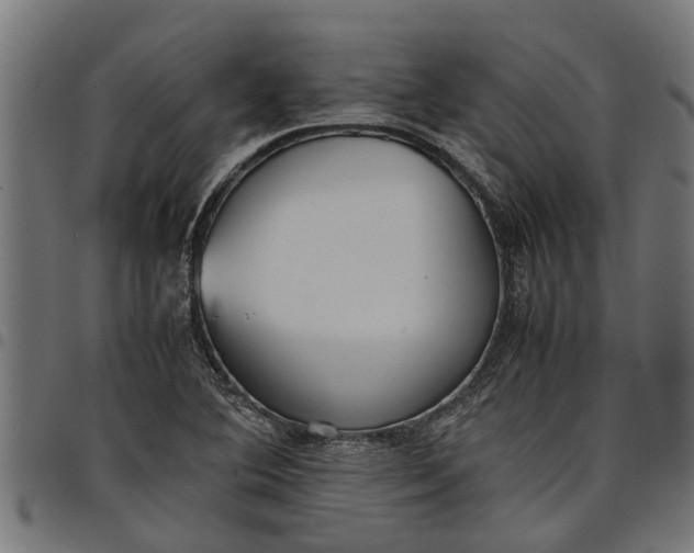 X0000097801364200803281025