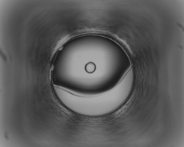 X0000097801365200803281025