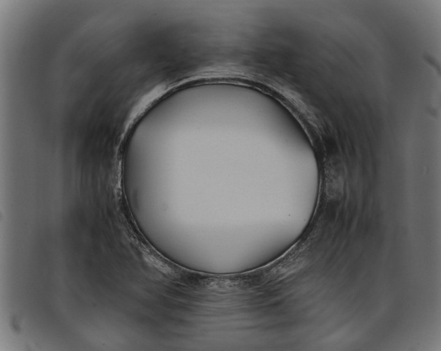 X0000097801366200803281025