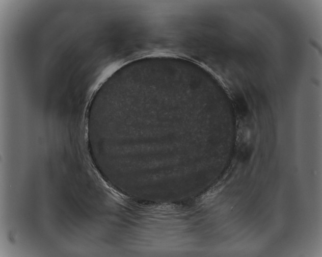 X0000097801367200803281025