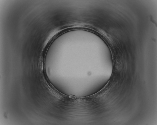 X0000097801368200803281025