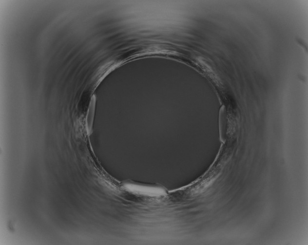 X0000097801369200803281025