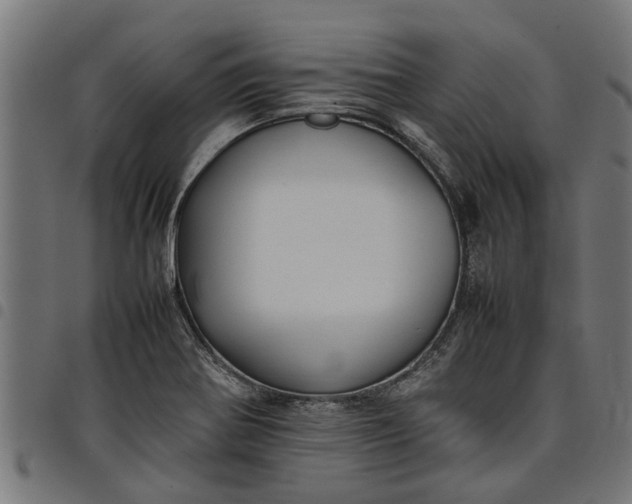 X0000097801370200803281025