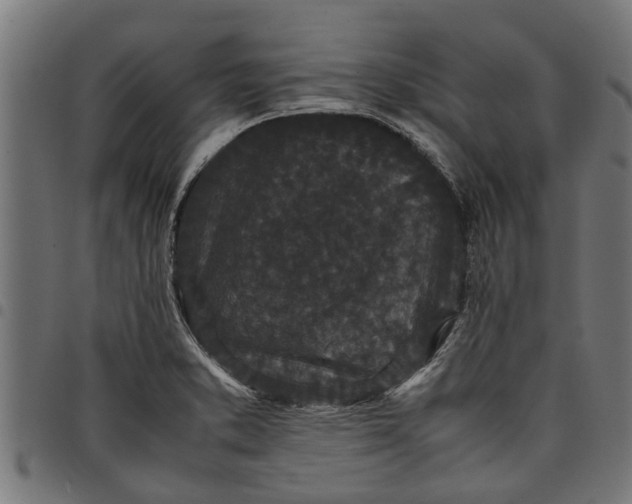 X0000097801373200803281025