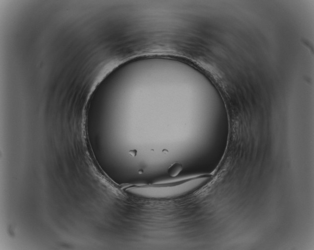 X0000097801374200803281025