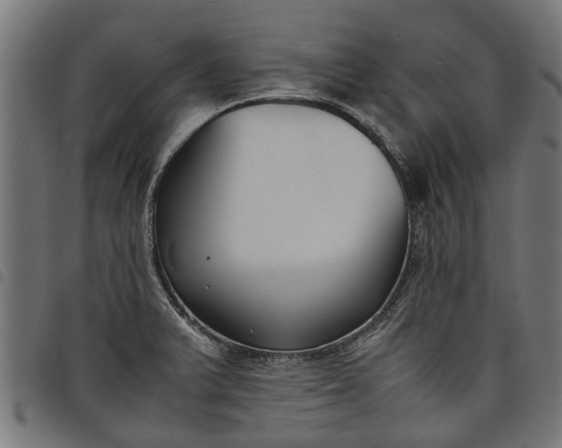 X0000097801375200803281025