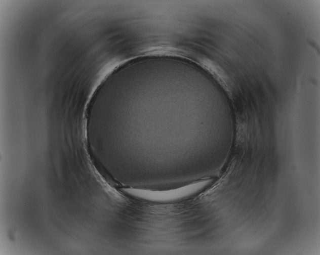 X0000097801376200803281025