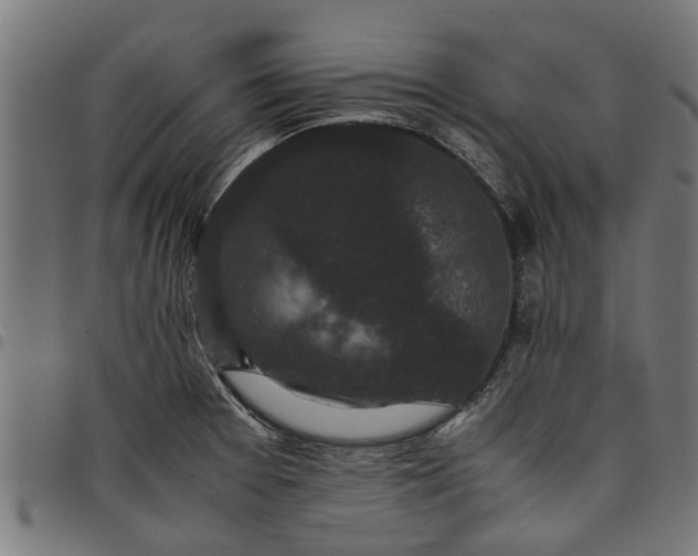 X0000097801377200803281025