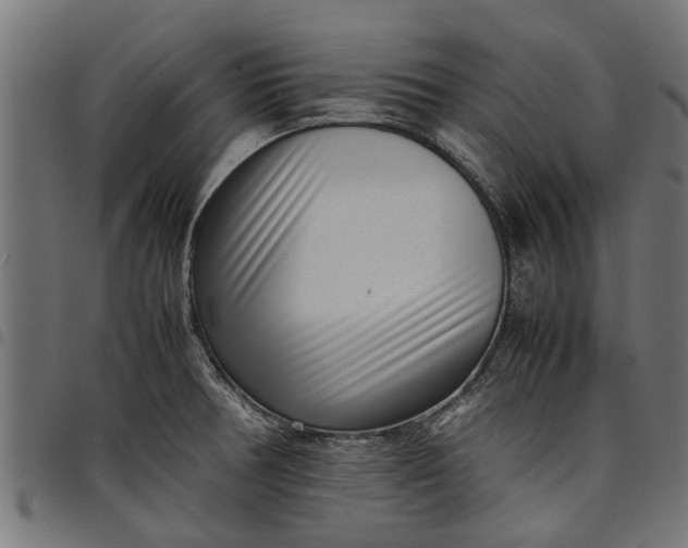 X0000097801378200803281025