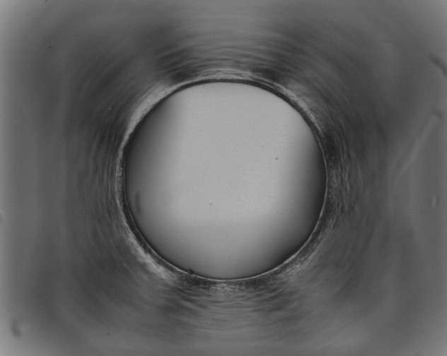 X0000097801379200803281025