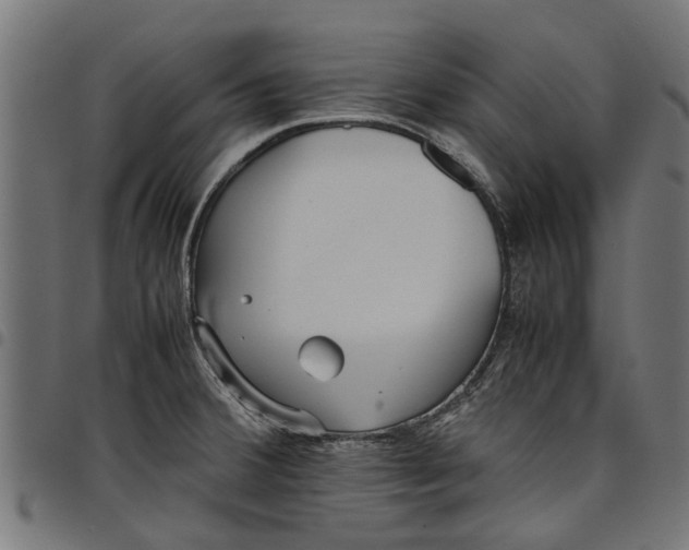 X0000097801380200803281025