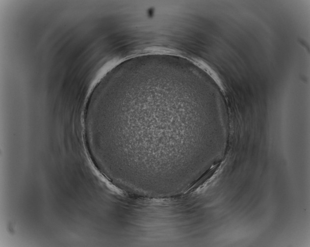 X0000097801381200803281025