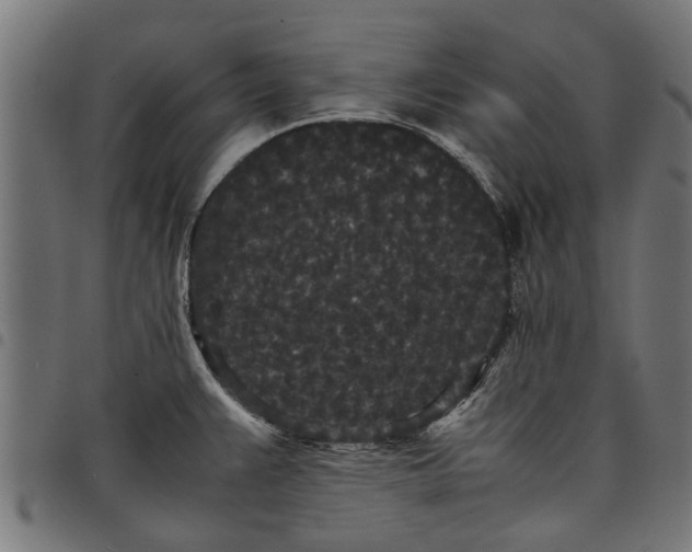 X0000097801383200803281025