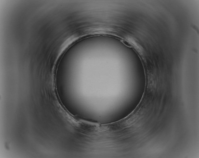 X0000097801384200803281025