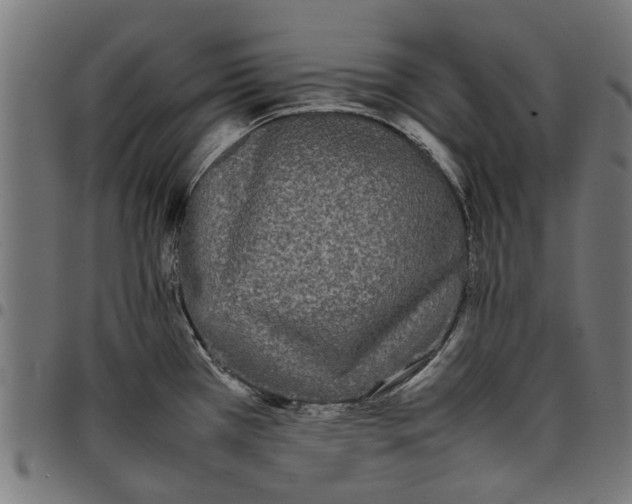 X0000097801385200803281025