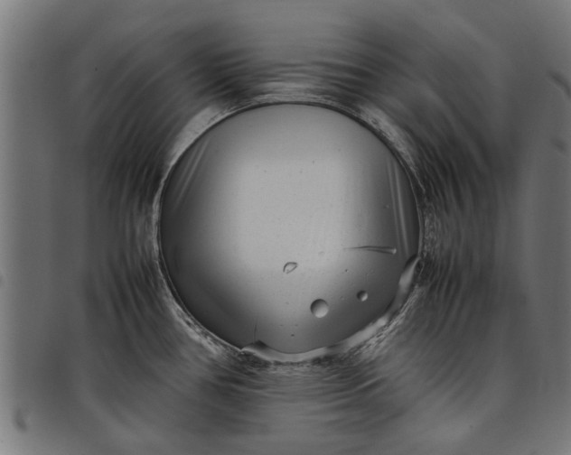 X0000097801386200803281025