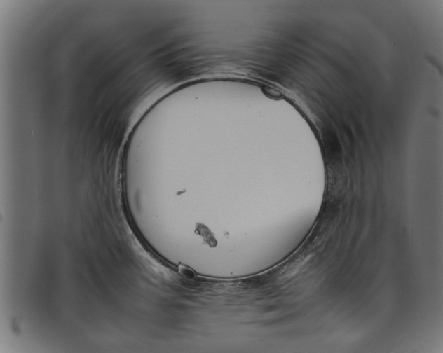 X0000097801387200803281025