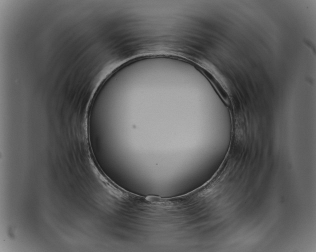 X0000097801388200803281025