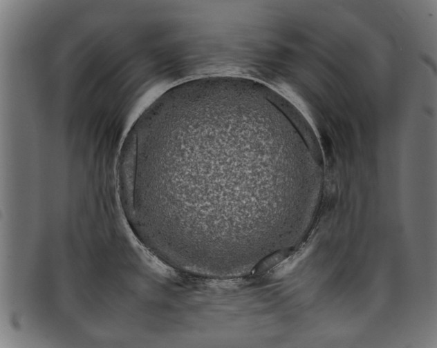 X0000097801389200803281025