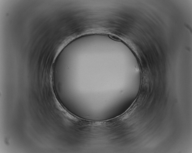 X0000097801390200803281025