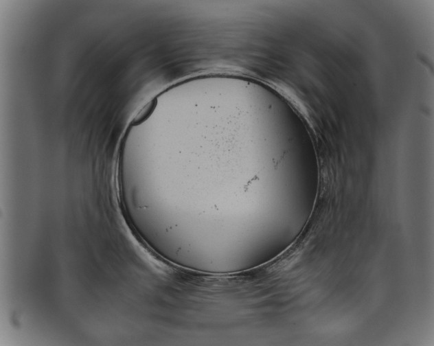 X0000097801391200803281025