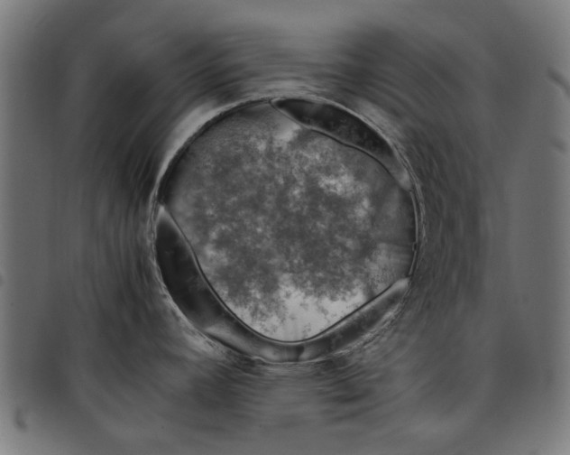 X0000097801392200803281025