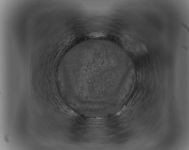 X0000097801393200803281024