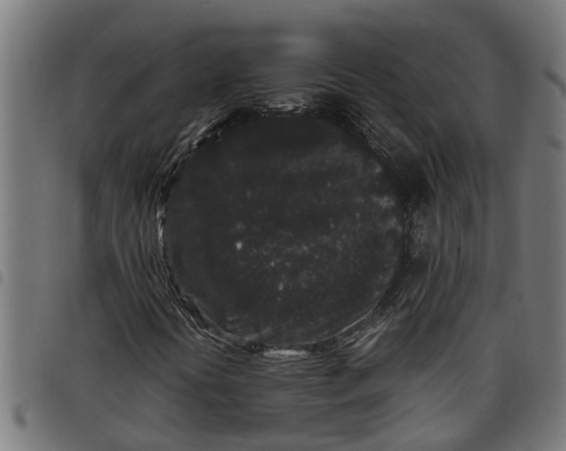 X0000097801394200803281024