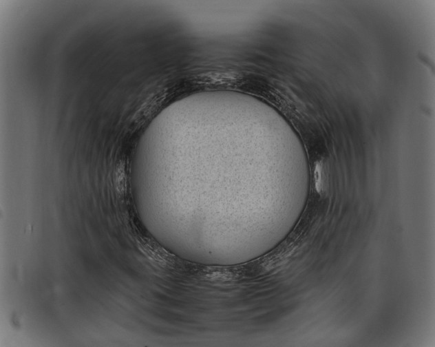 X0000097801395200803281024