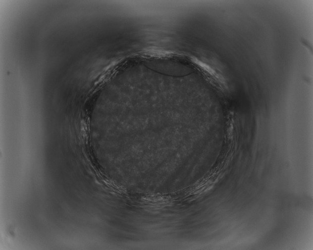 X0000097801397200803281024