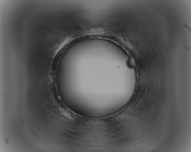 X0000097801400200803281024