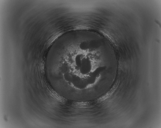 X0000097801401200803281024