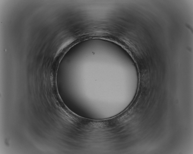 X0000097801402200803281024