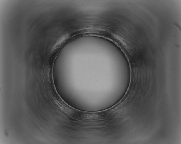 X0000097801403200803281025