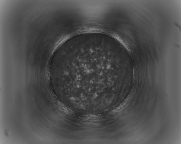 X0000097801405200803281025