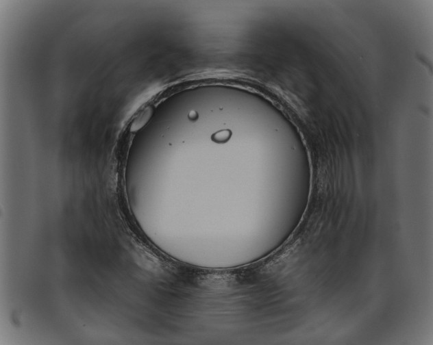 X0000097801406200803281025