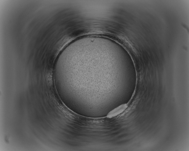 X0000097801409200803281025