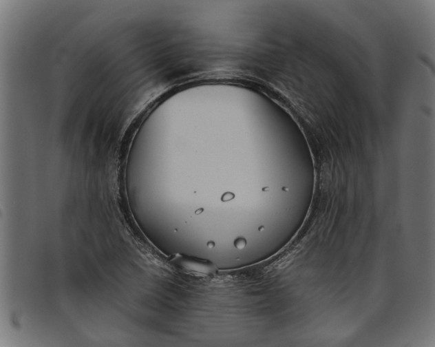 X0000097801410200803281025