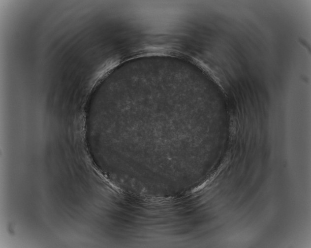 X0000097801411200803281025