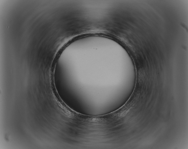 X0000097801412200803281025